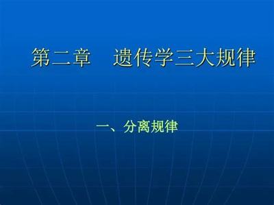 網(wǎng)絡(luò)游戲投資與網(wǎng)絡(luò)技術(shù)研究 虛擬世界中的財富機遇